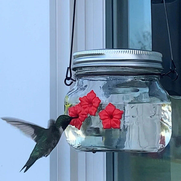 Beautiful Mason Jar Hummingbird Feeder W/ Three Ports