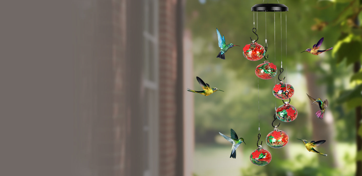 Why Are All the Hummingbirds Flocking to My Neighbor's Garden? I Finally Unraveled the Mystery!